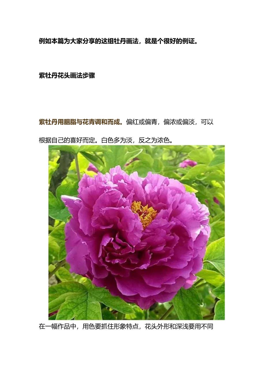 牡丹如何画才能尽显“花王”风范？.docx_第3页