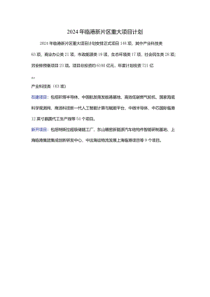2024年临港新片区重大项目计划.docx