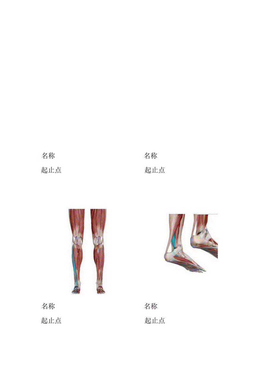 健身管理师新入职员工笔试考题.docx_第3页