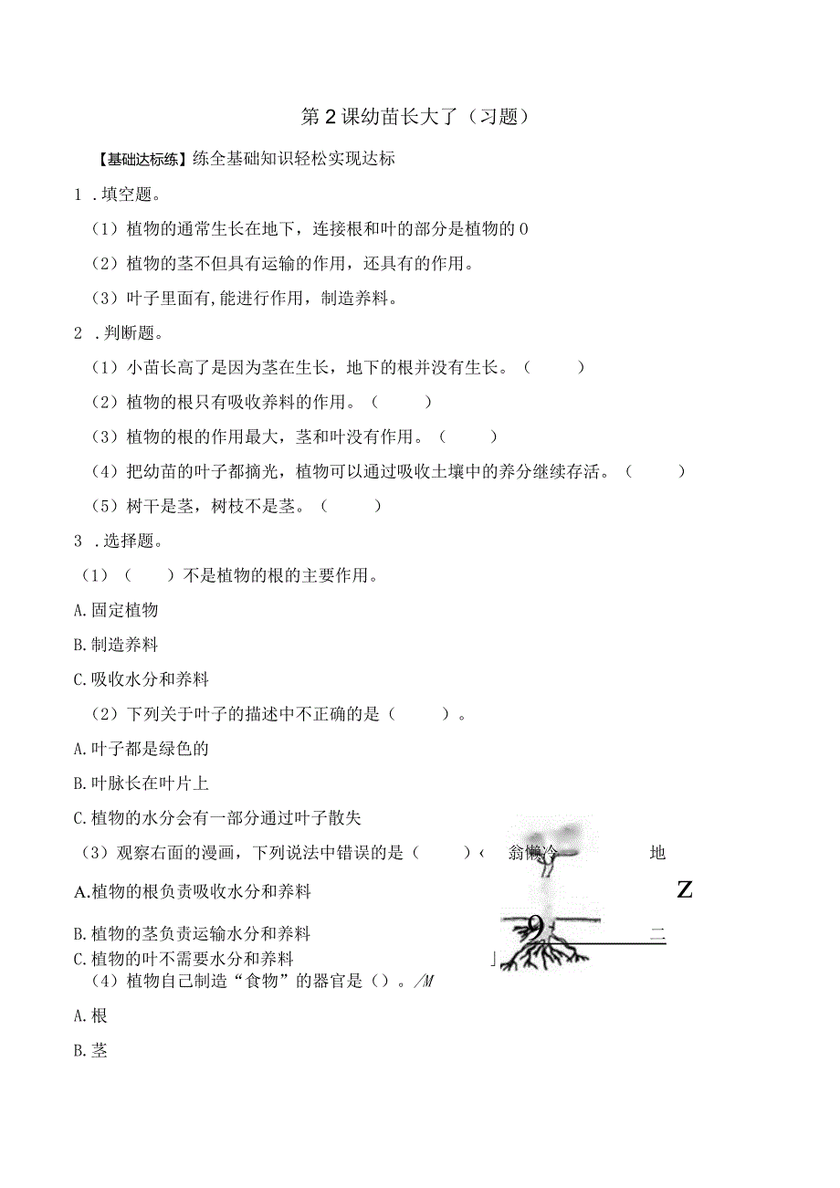 第2课 幼苗长大了（分层练习）三年级科学下册（苏教版）.docx_第1页