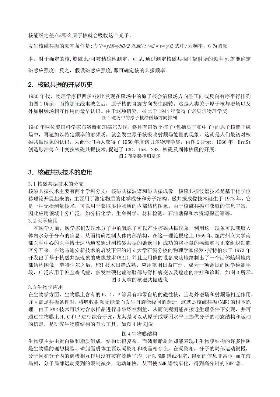 核磁共振技术.docx_第2页