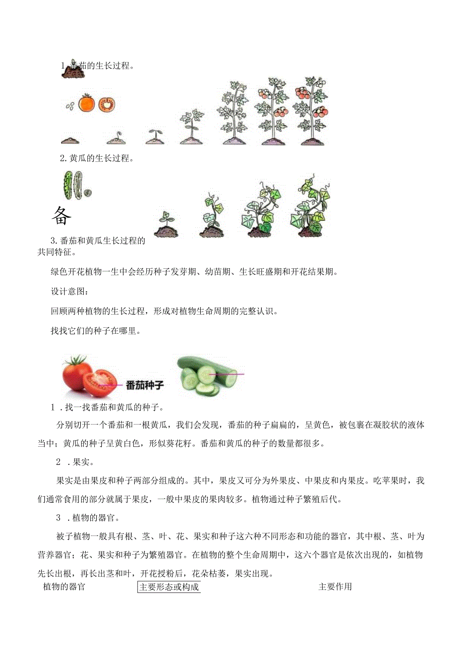 第4课 植物结果了（教学设计）三年级科学下册（苏教版）.docx_第3页