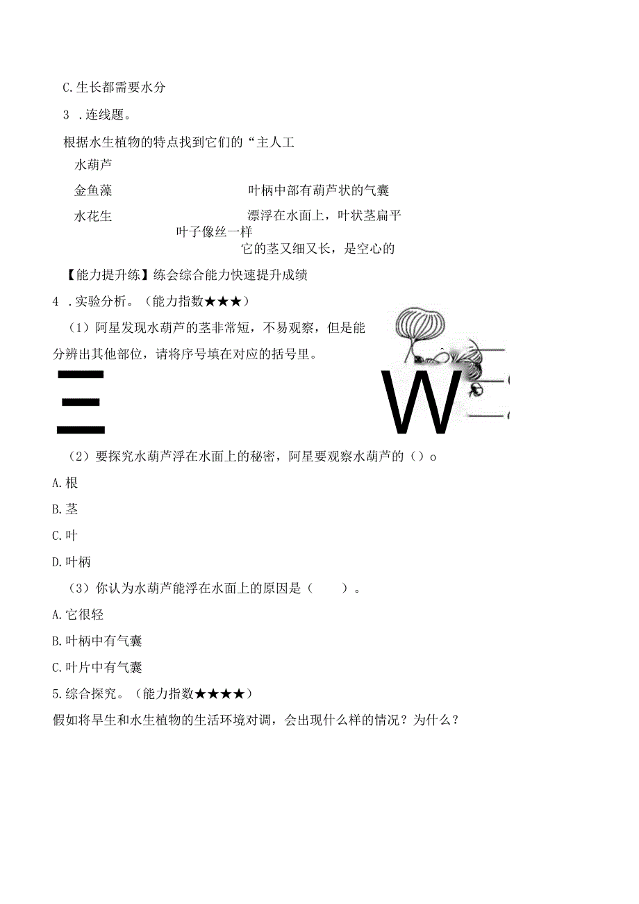 第7课 水里的植物（分层练习）三年级科学下册（苏教版）.docx_第3页