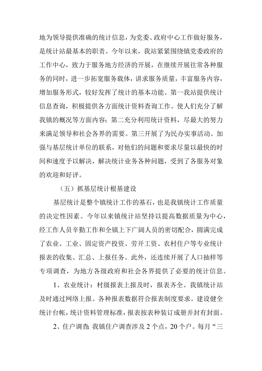 乡镇统计站工作计划的总结.docx_第3页