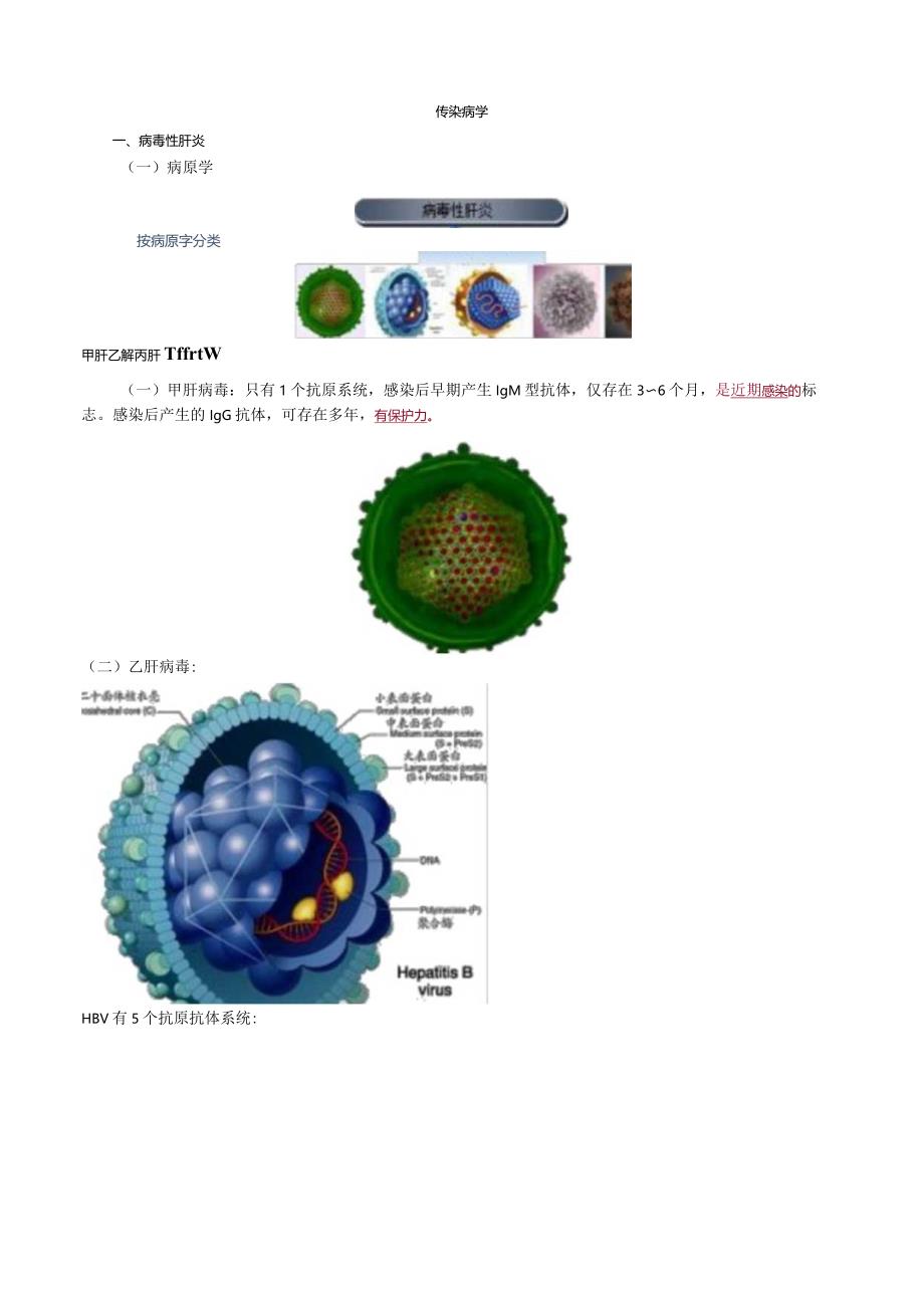 心血管内科主治医师资格笔试相关专业知识考点解析 (9)：传染病学.docx_第1页