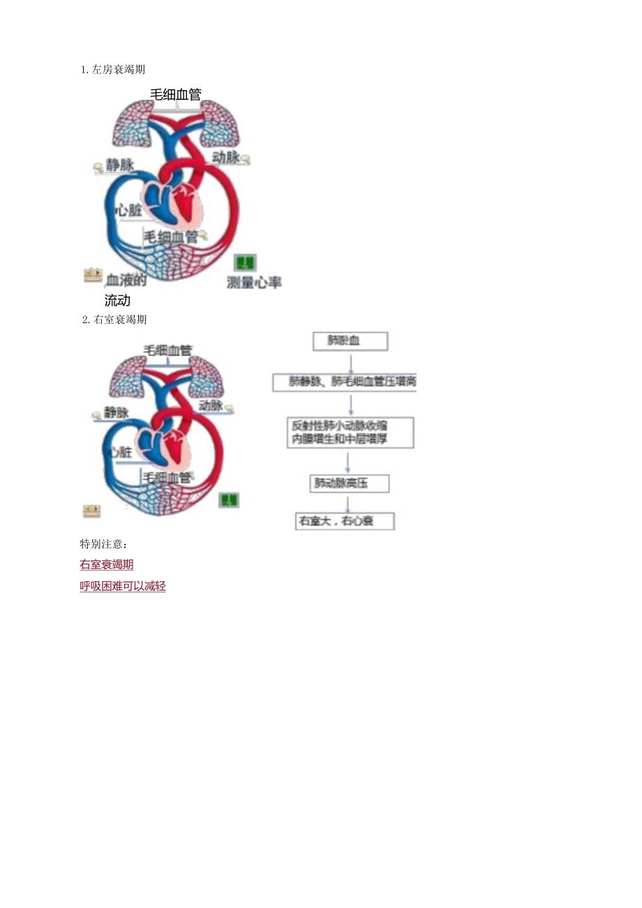 心血管内科主治医师资格笔试专业实践能力考点解析 (8)：心脏瓣膜病.docx_第2页