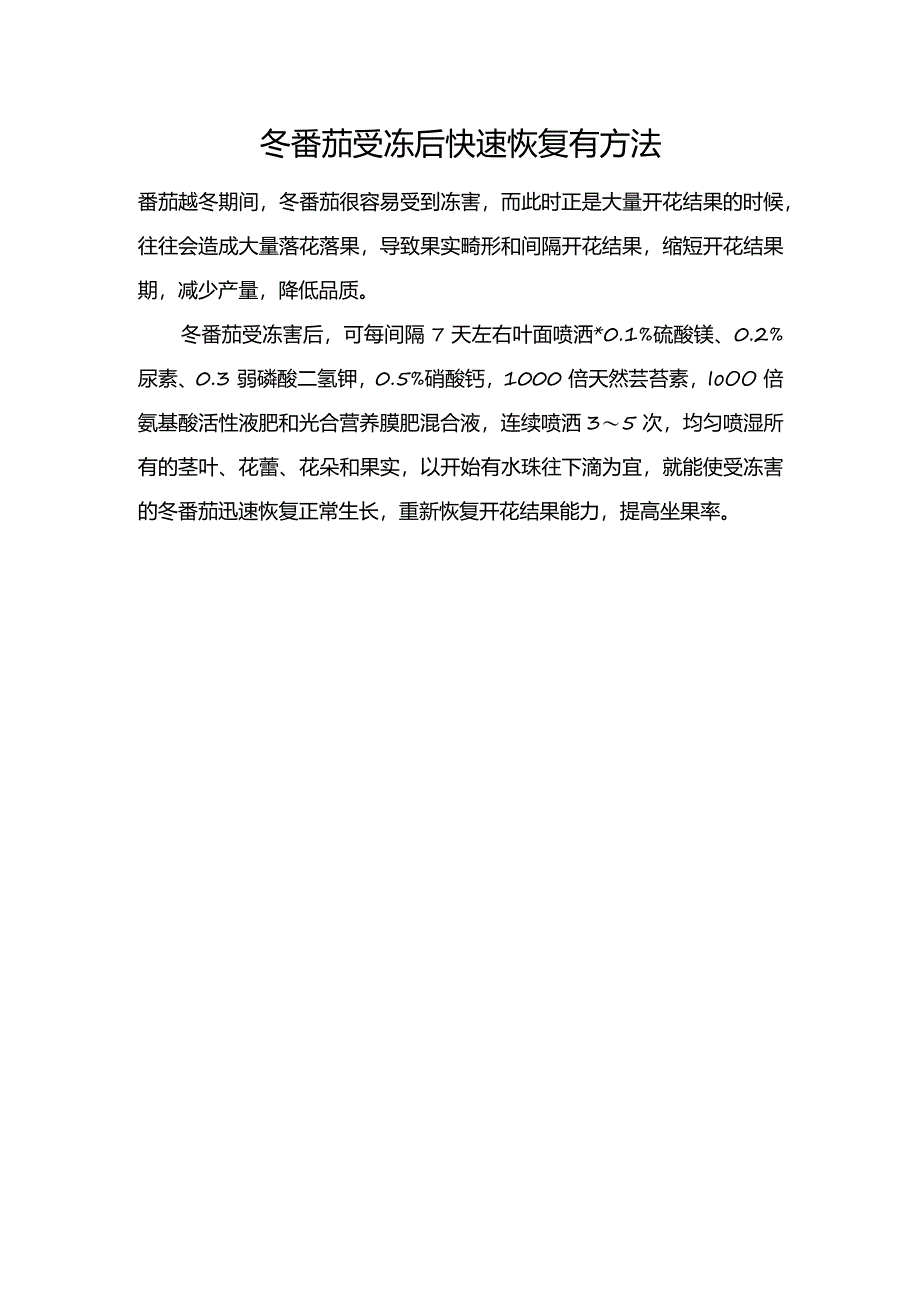 冬番茄受冻后快速恢复有方法.docx_第1页