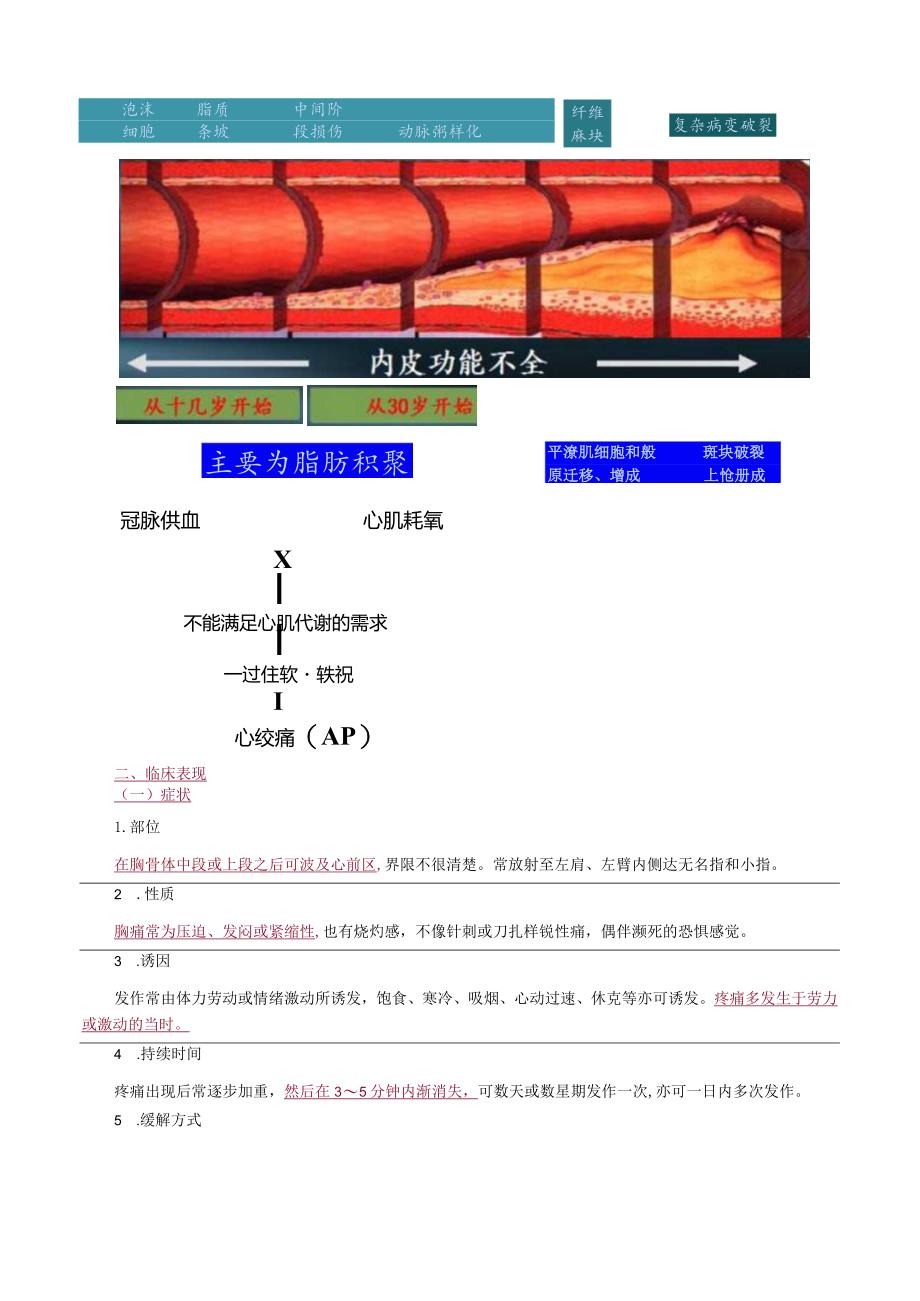 心血管内科主治医师资格笔试冲刺考点解析 (6)：专业实践能力.docx_第2页