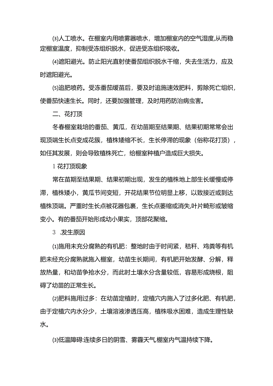 冬春棚室番茄安全管理防两害.docx_第2页