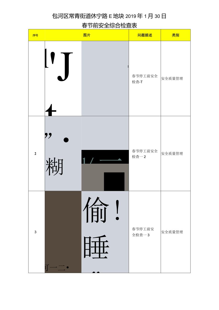 包河区休宁路E地块项目安全综合检查2019年1月30日.docx_第1页