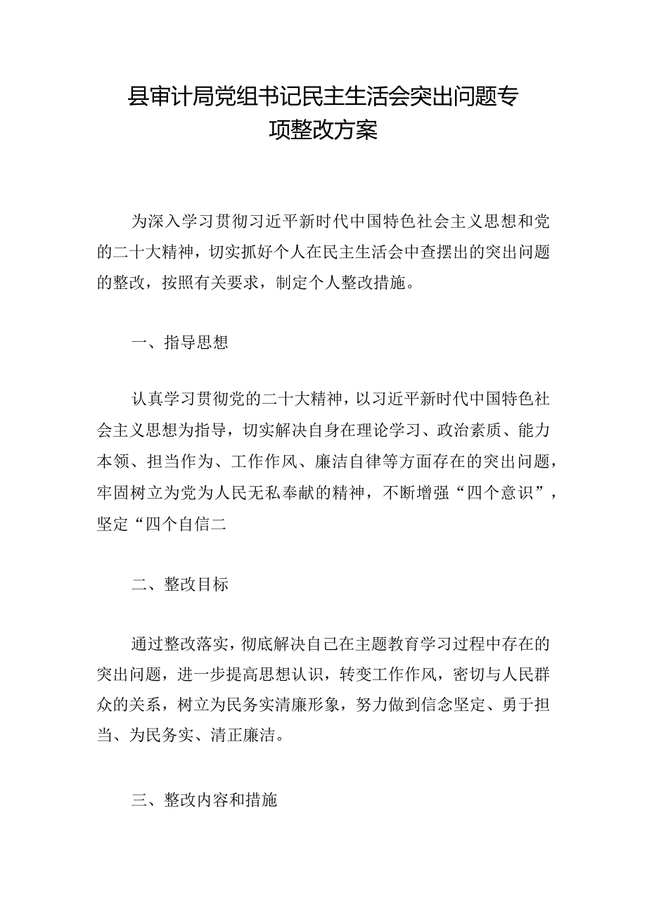 县审计局党组书记民主生活会突出问题专项整改方案.docx_第1页