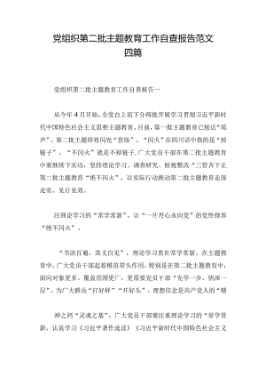 党组织第二批主题教育工作自查报告范文四篇.docx