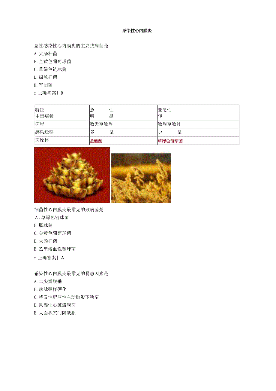 心血管内科主治医师资格笔试专业实践能力考点解析 (9)：感染性心内膜炎.docx_第1页