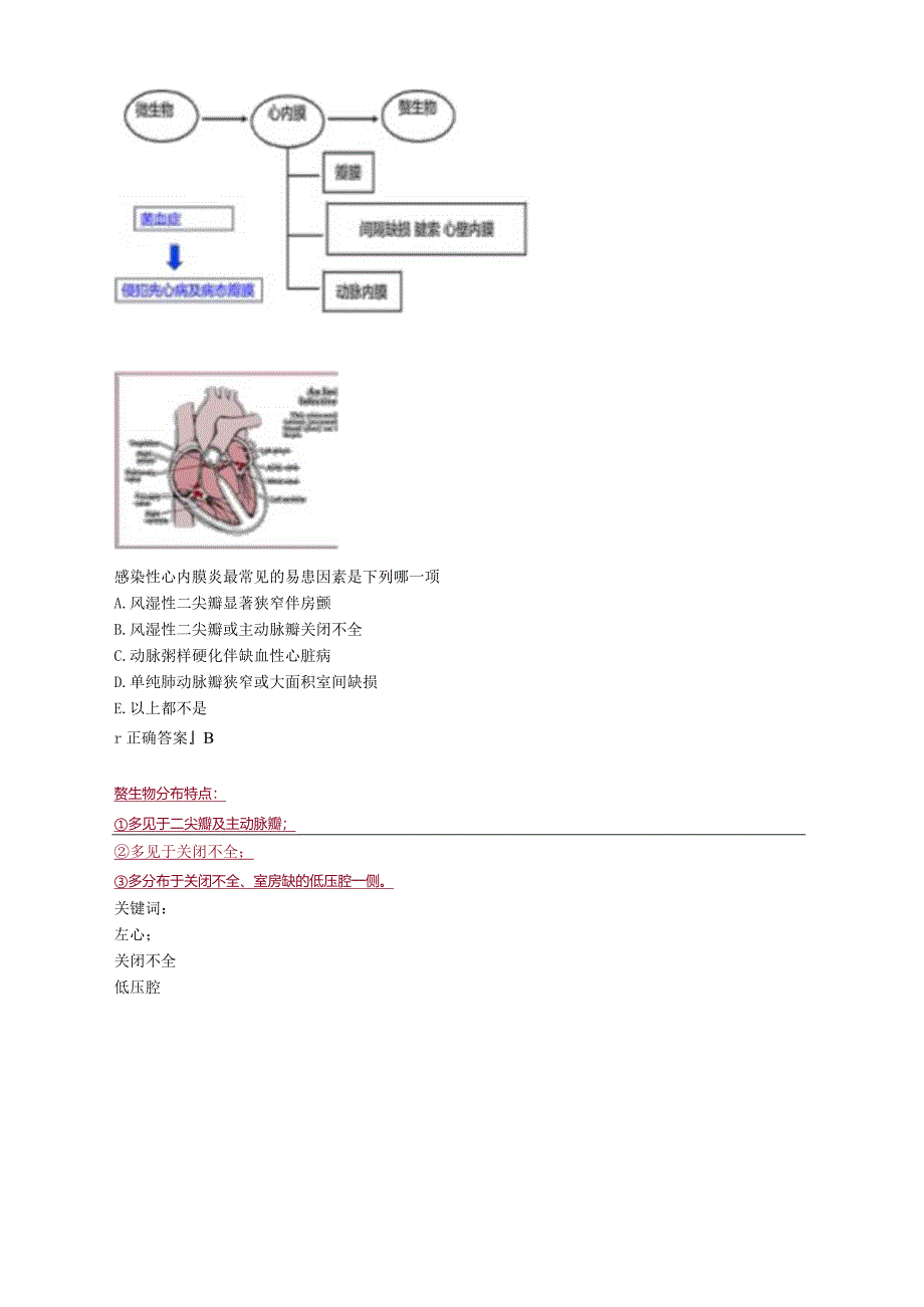 心血管内科主治医师资格笔试专业实践能力考点解析 (9)：感染性心内膜炎.docx_第3页