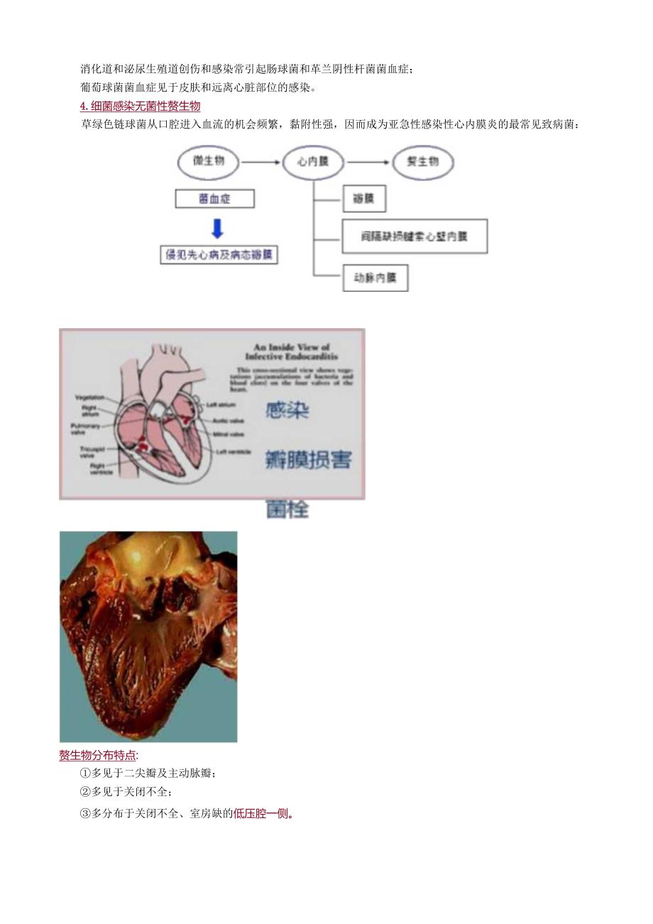 心血管内科主治医师资格笔试专业知识考点解析 (8)：感染性心内膜炎.docx_第3页