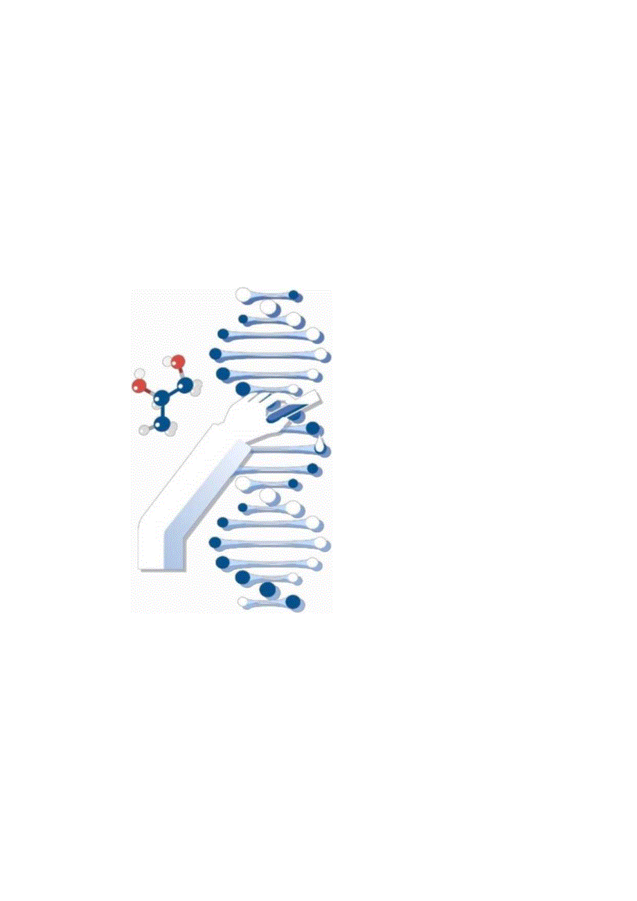 营销策划-苋康园植物固体饮料产品介绍.docx_第3页