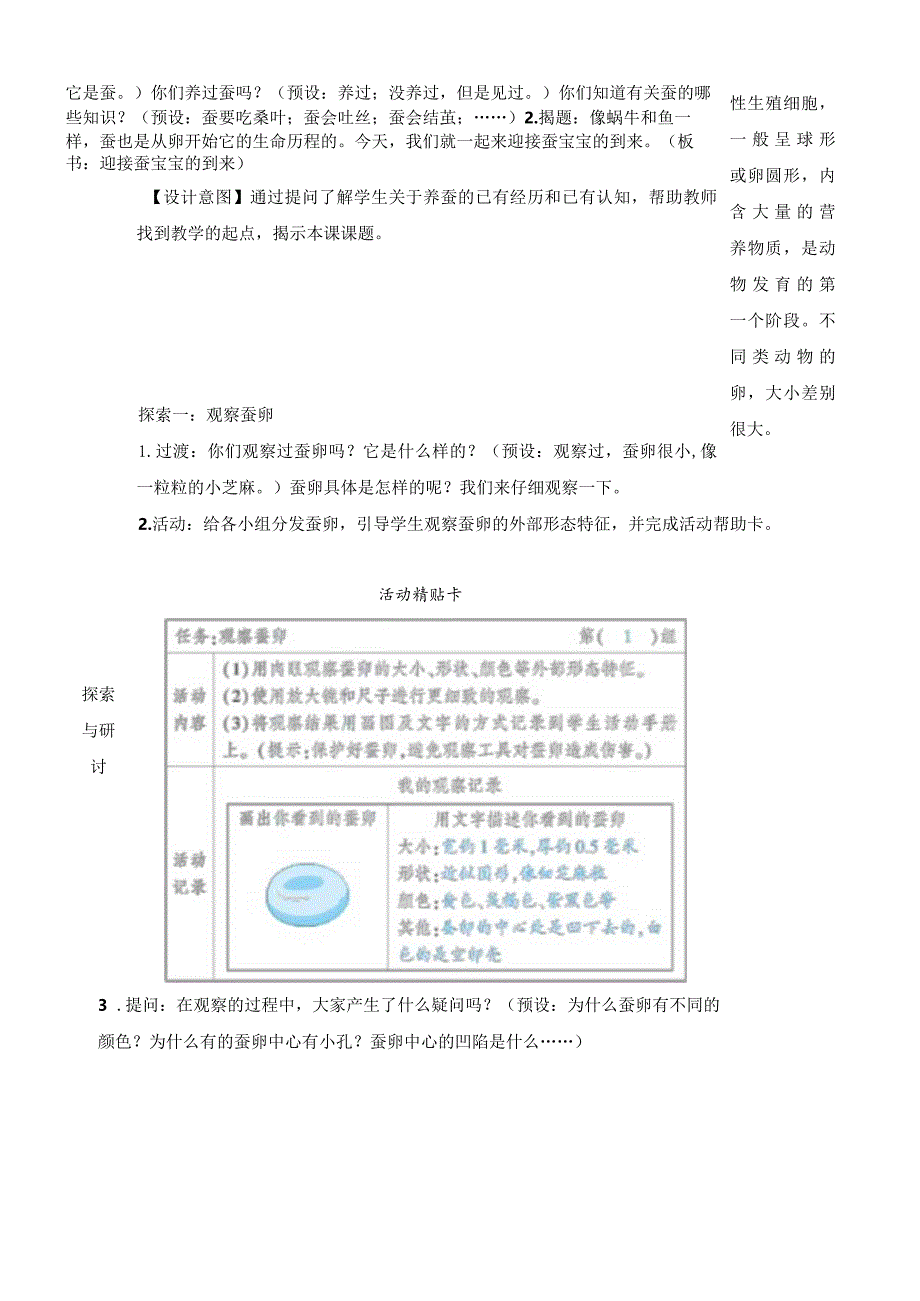 教科版三年级下册科学迎接蚕宝宝的到来教案.docx_第3页