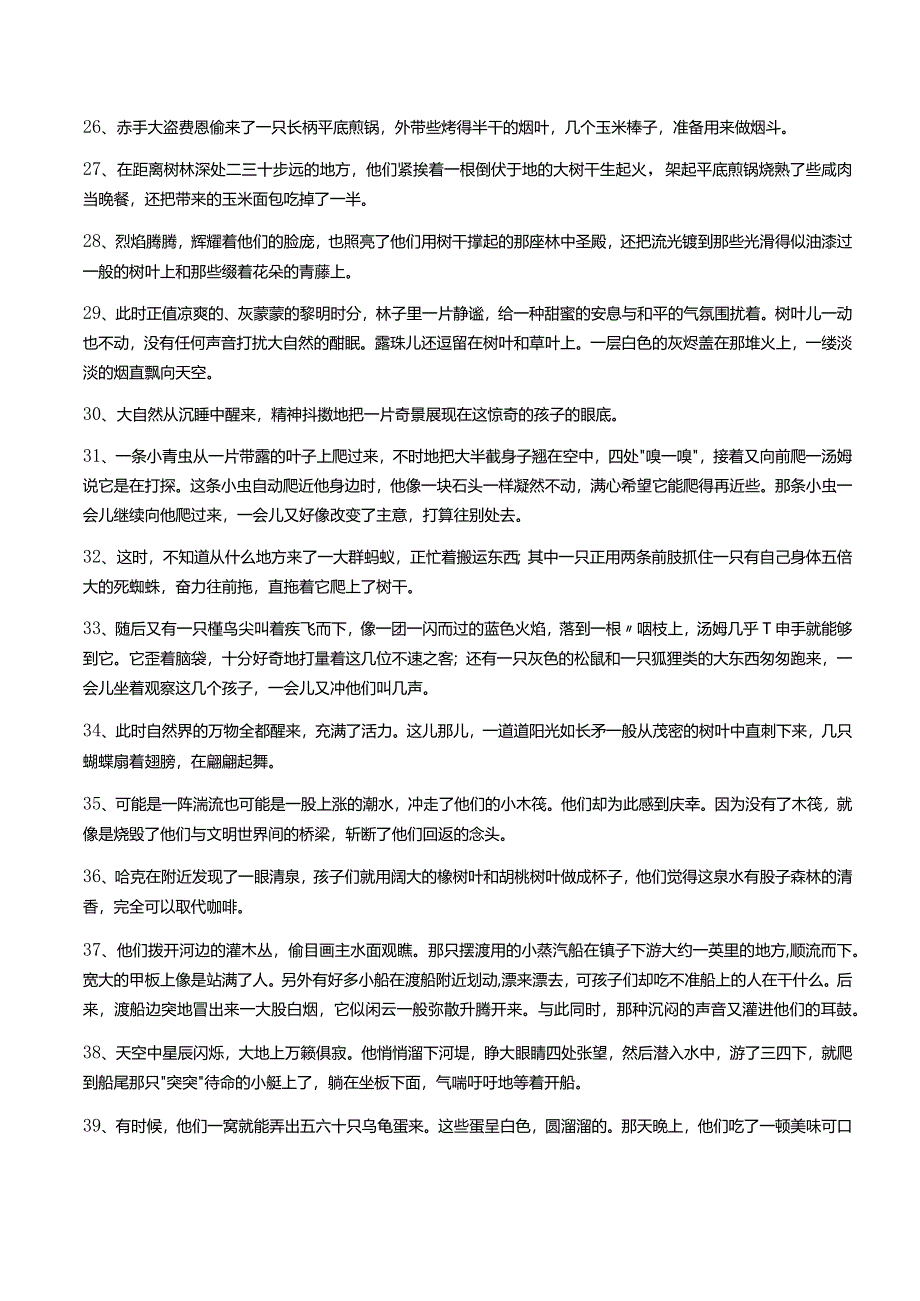 汤姆索亚历险记读书卡内容.docx_第3页