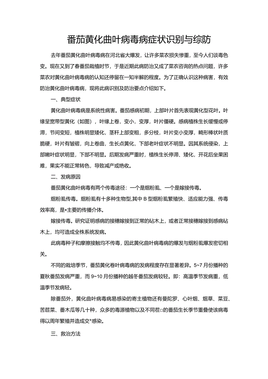 番茄黄化曲叶病毒病症状识别与综防.docx_第1页