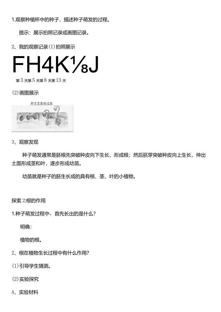 教科版四年级科学下册（核心素养目标）1-3种子长出了根教案设计.docx_第2页