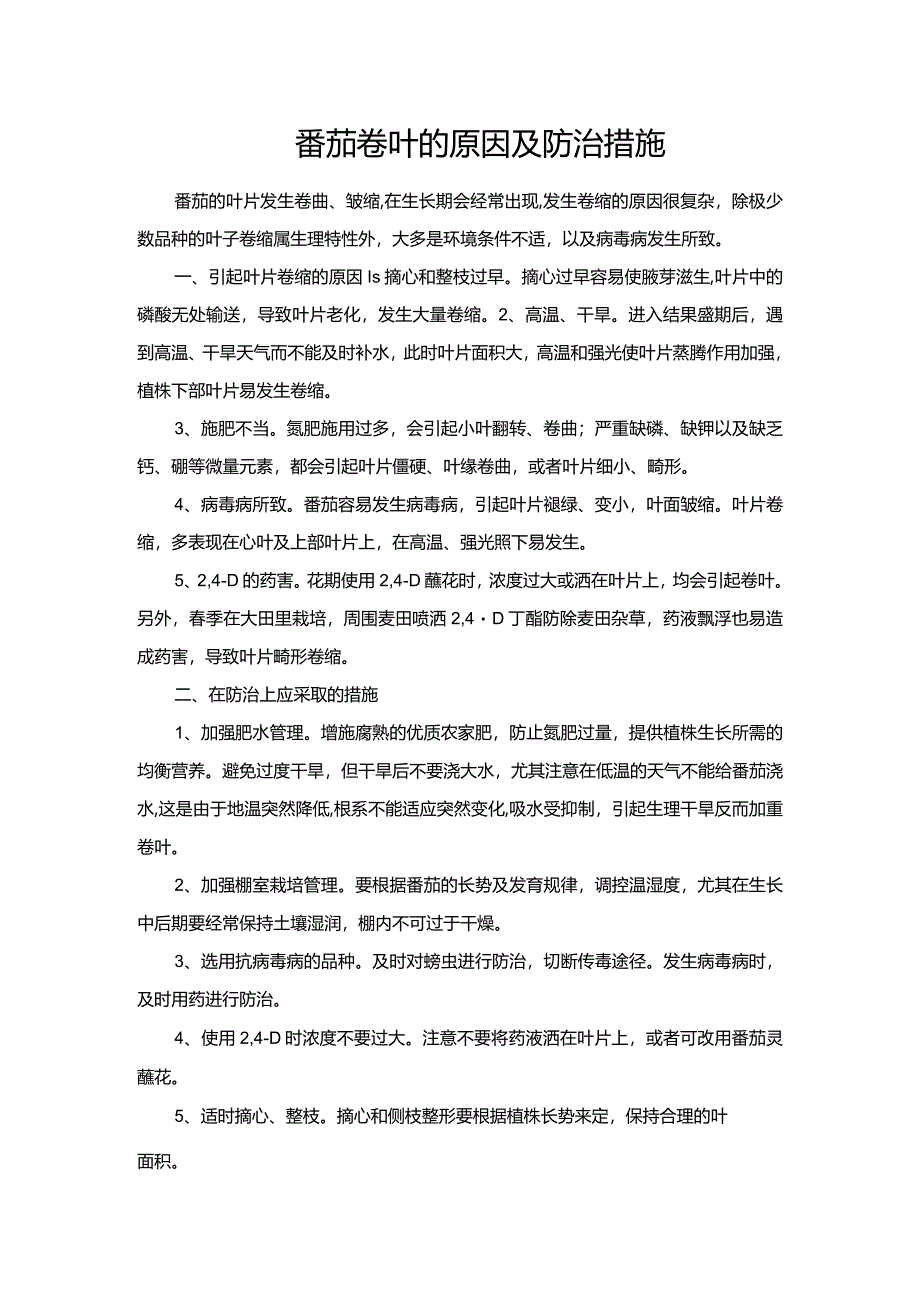 番茄卷叶的原因及防治措施.docx_第1页