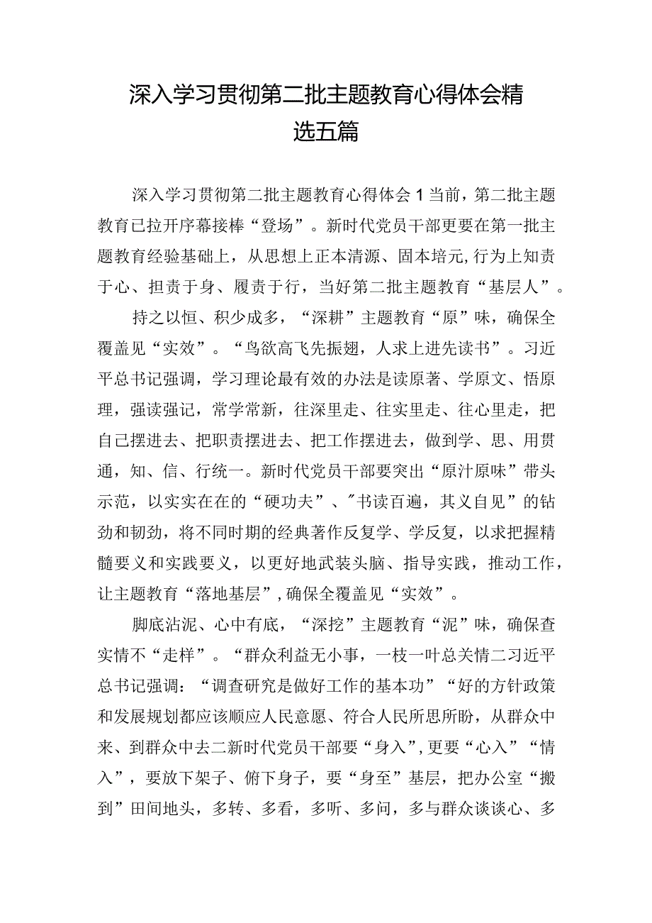 深入学习贯彻第二批主题教育心得体会精选五篇.docx_第1页