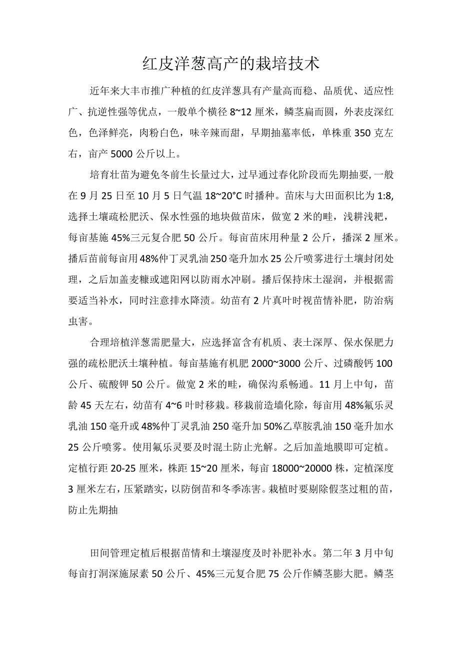 红皮洋葱高产的栽培技术.docx_第1页