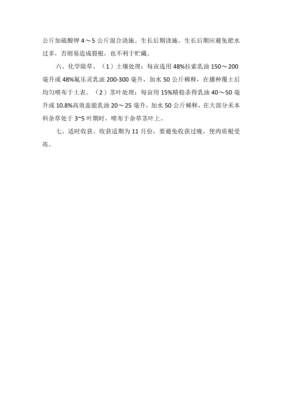 胡萝卜丰产栽培技术.docx_第2页