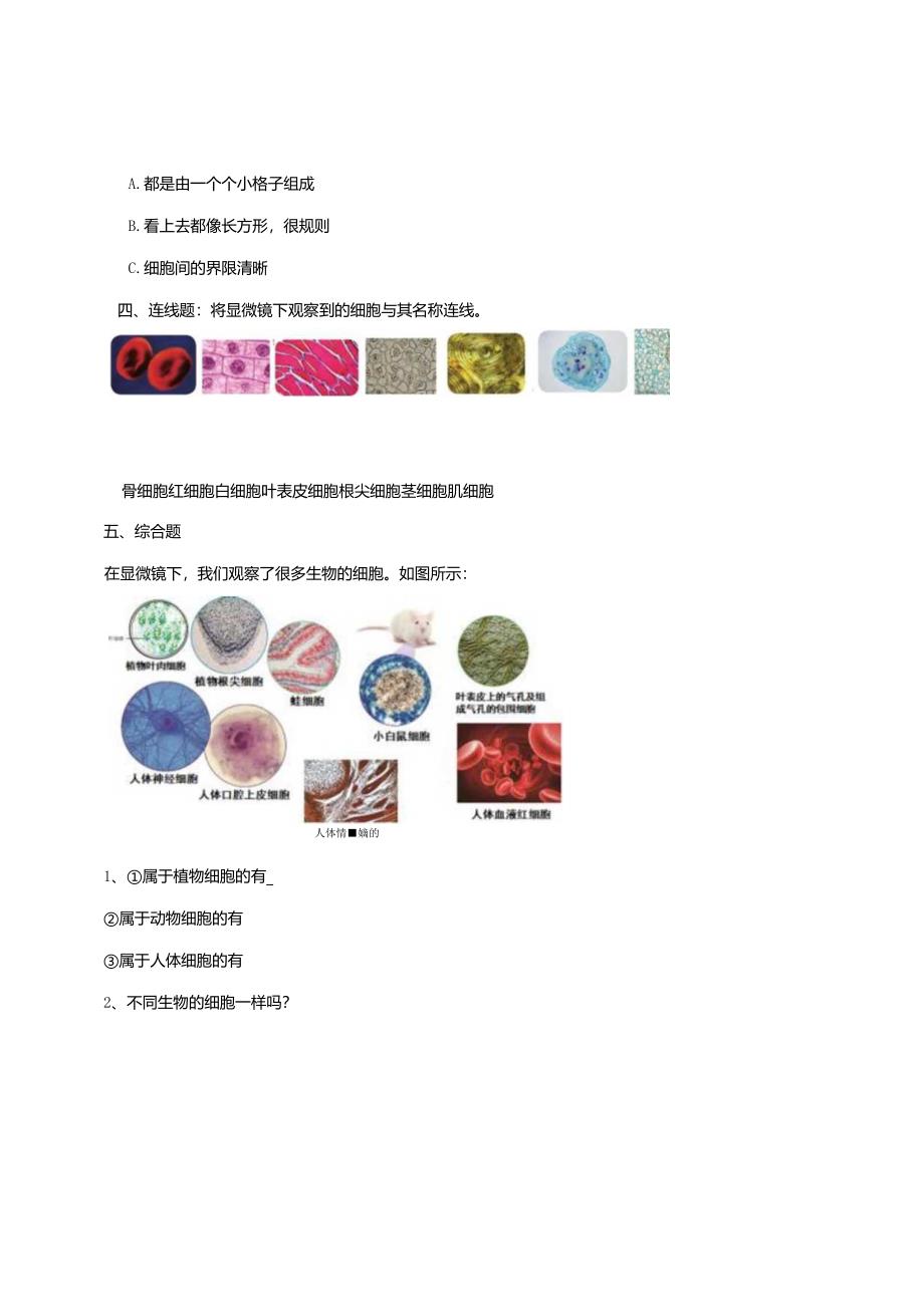 苏教版科学五下1-1《搭建生命体的“积木”》练习（含答案）.docx_第2页