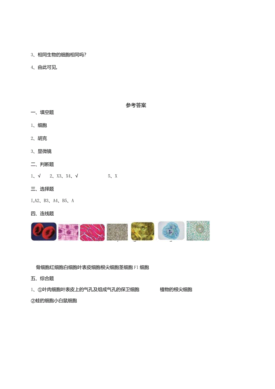 苏教版科学五下1-1《搭建生命体的“积木”》练习（含答案）.docx_第3页