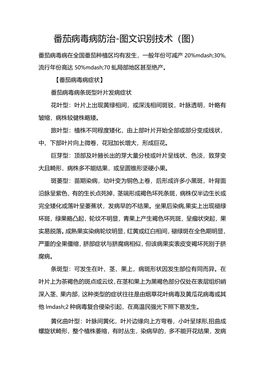 番茄病毒病防治-图文识别技术（图）.docx_第1页