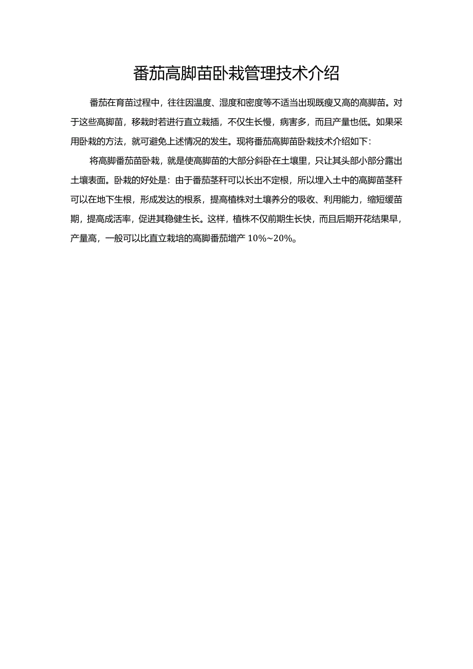 番茄高脚苗卧栽管理技术介绍.docx_第1页