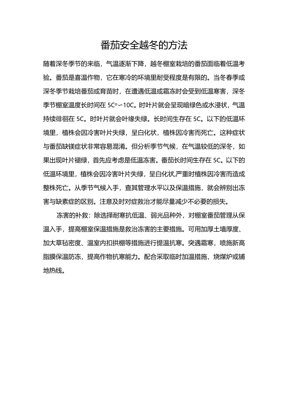 番茄安全越冬的方法.docx_第1页