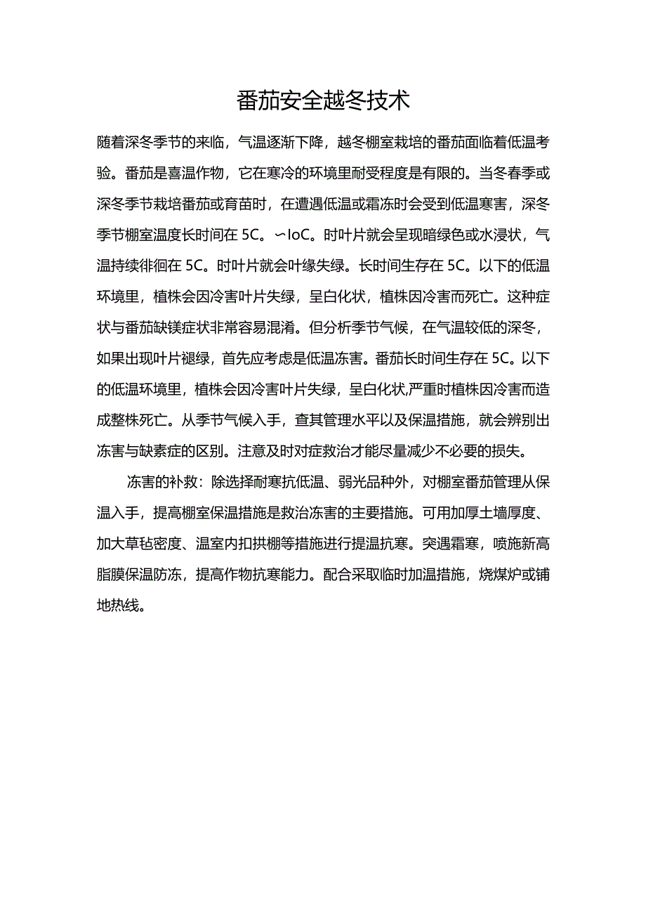 番茄安全越冬技术.docx_第1页