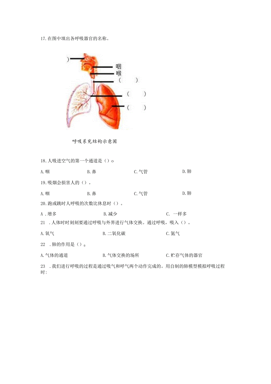 粤教版科学三年级下册8我们离不开呼吸练习.docx_第3页