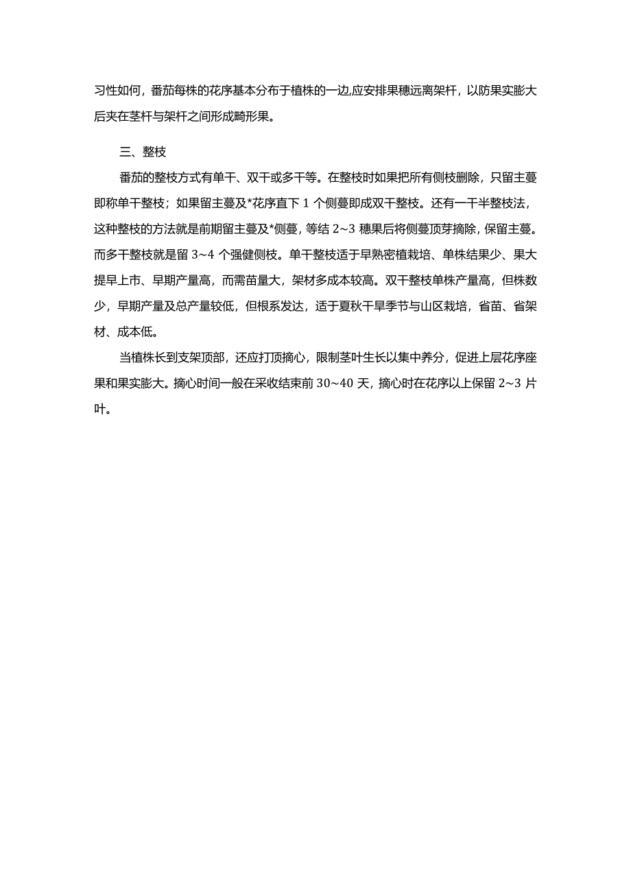 番茄搭架绑蔓与整枝方法.docx_第2页