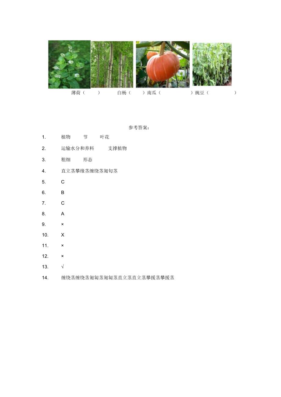 粤教版科学三年级下册13植物的茎练习.docx_第2页