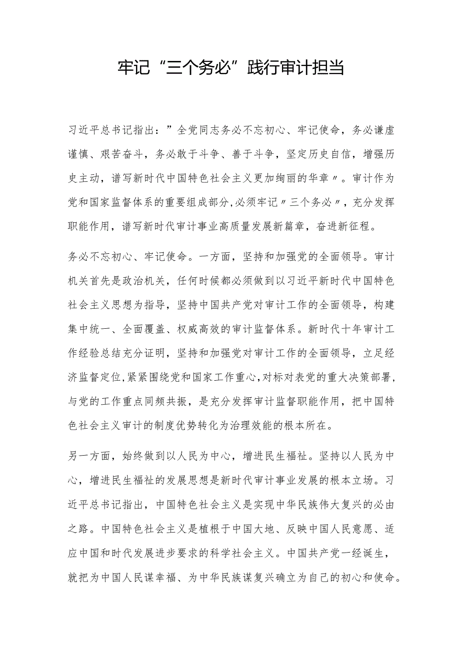 践行审计担当.docx_第1页