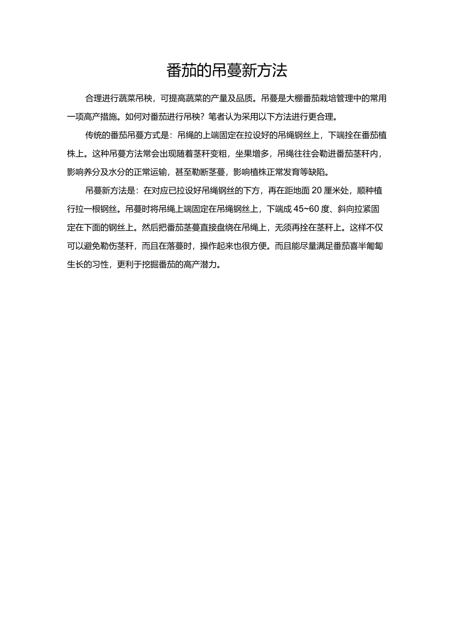 番茄的吊蔓新方法.docx_第1页