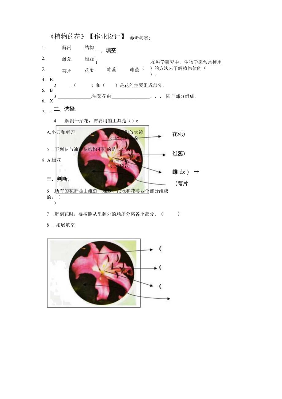 粤教版科学三年级下册15植物的花练习.docx_第1页