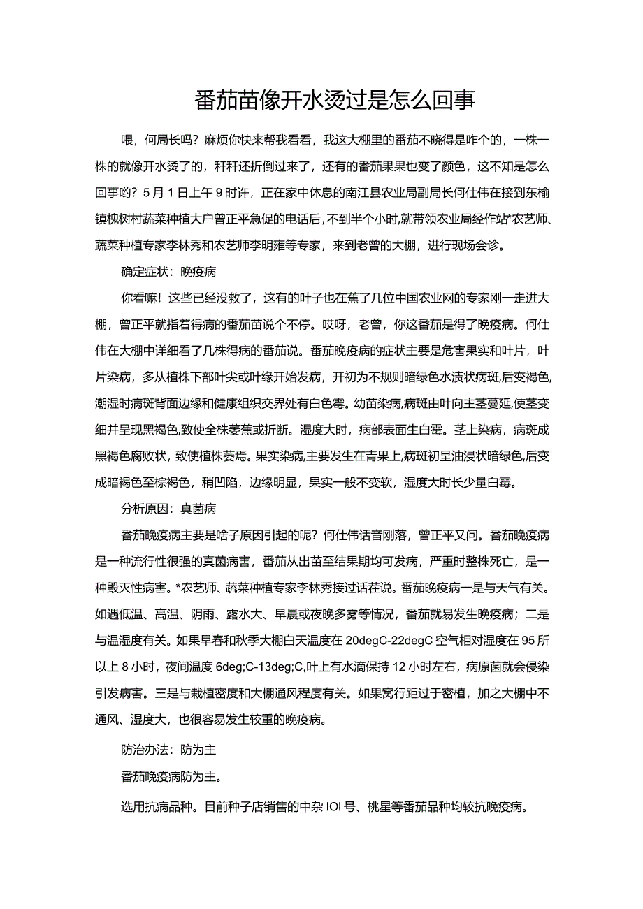 番茄苗像开水烫过是怎么回事.docx_第1页