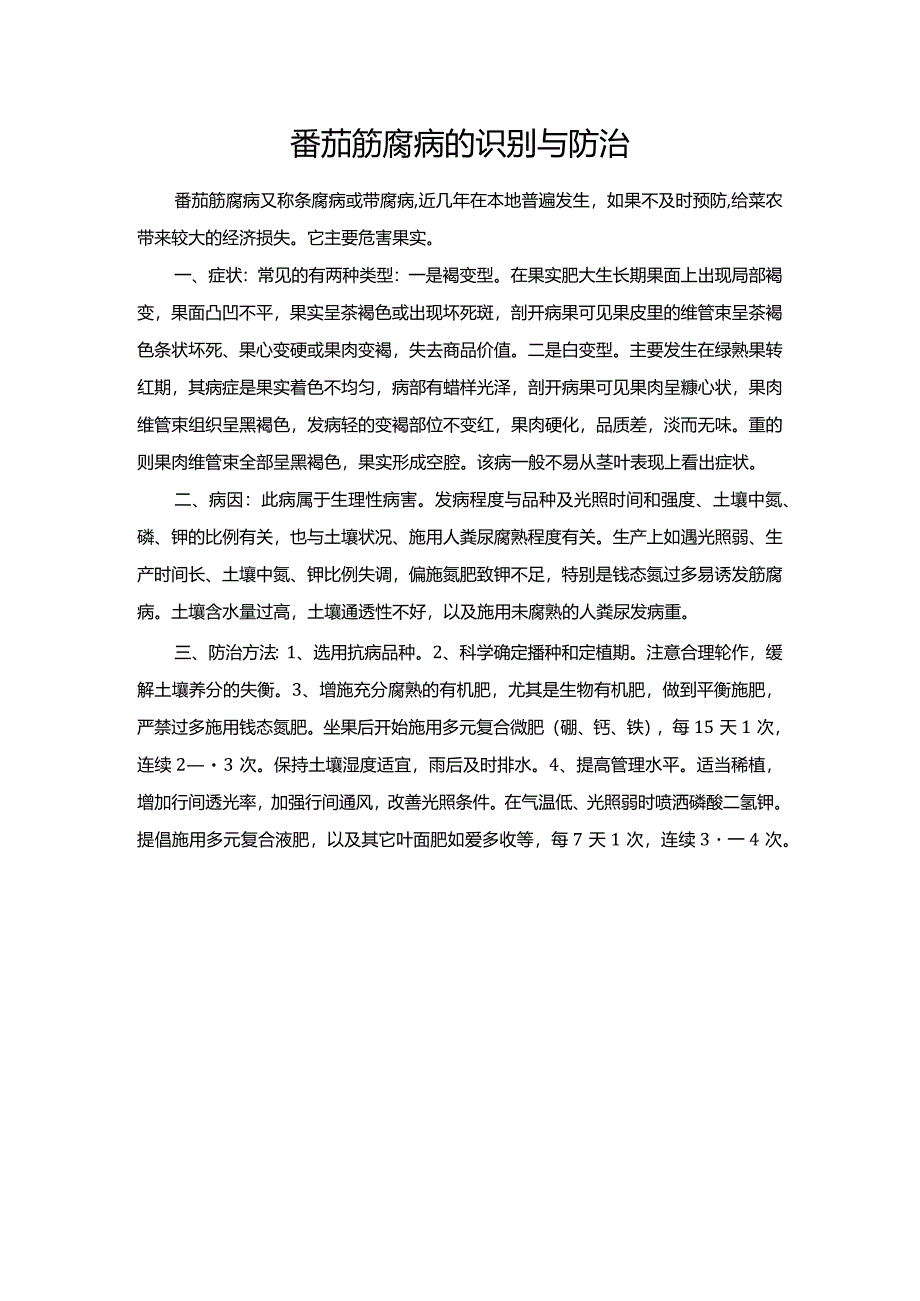 番茄筋腐病的识别与防治.docx_第1页