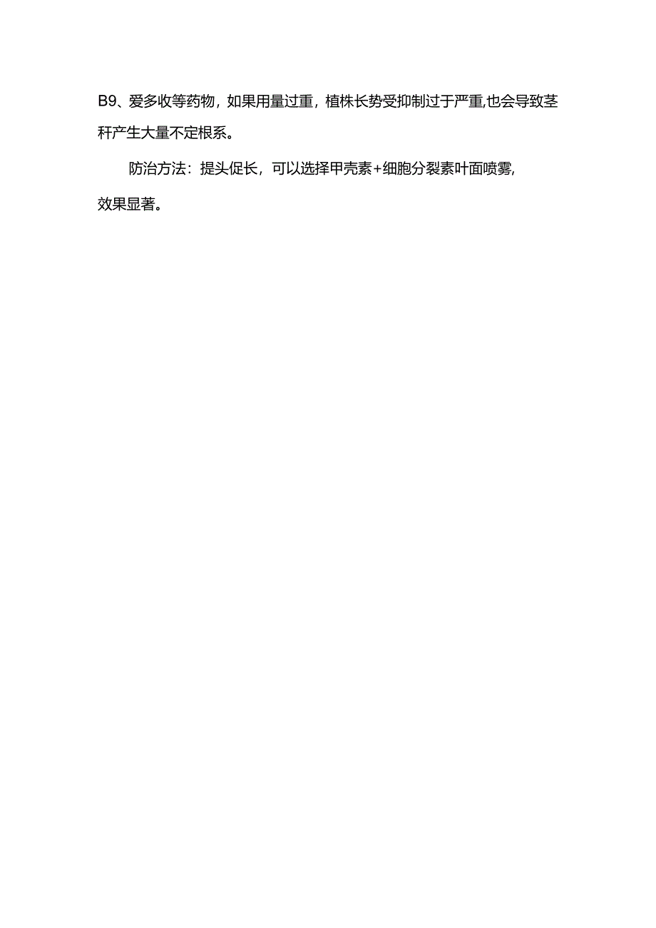 番茄产生不定根多怎么办.docx_第2页