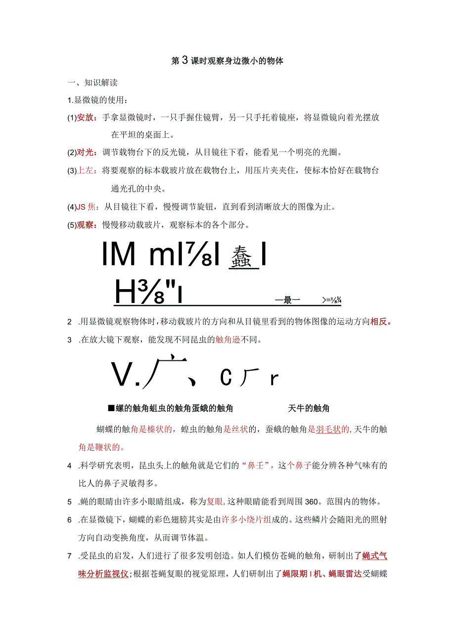 观察身边微小的物体知识点整理教科版科学六年级上册.docx_第1页