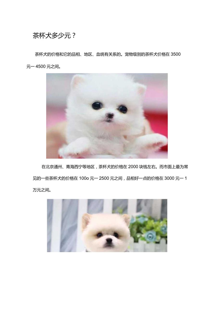 茶杯犬多少元.docx_第1页