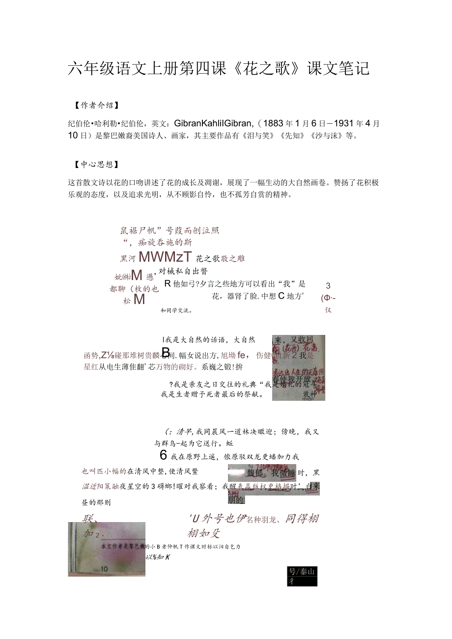 花之歌课文笔记.docx_第1页