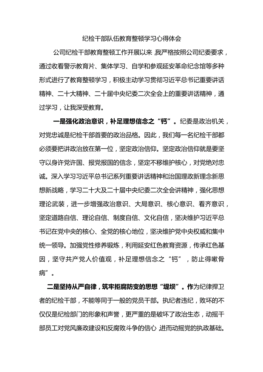 纪检干部队伍教育整顿学习心得体会.docx_第1页