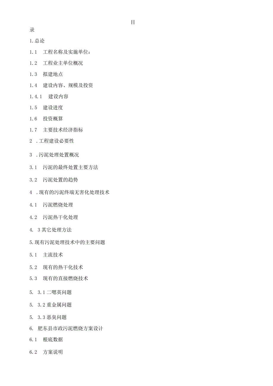 肥东政污泥焚烧项目建议书1.docx_第2页