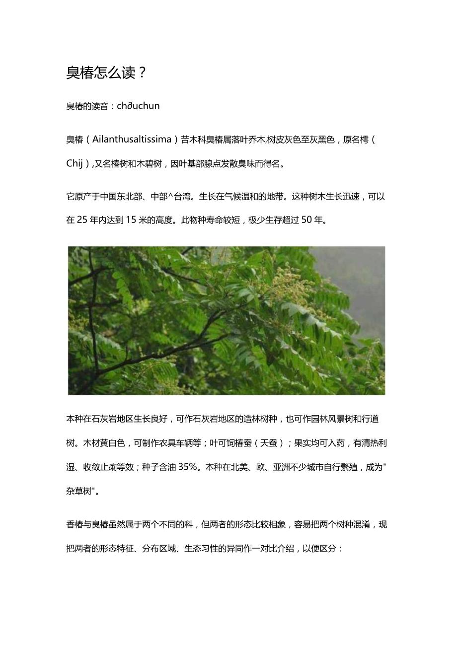 臭椿怎么读.docx_第1页