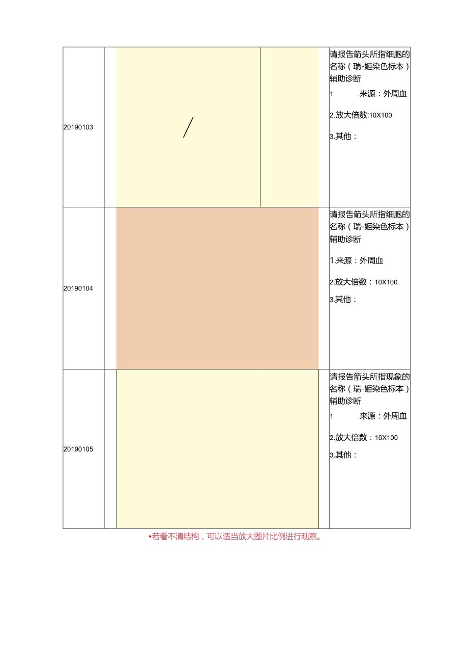 血细胞形态学名称编码.docx_第2页